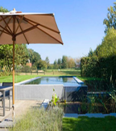 Aménagement piscine et bassin naturel